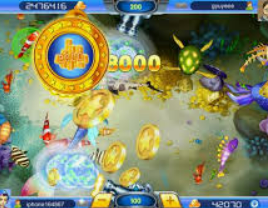 华体app官方下载入口2024最新版